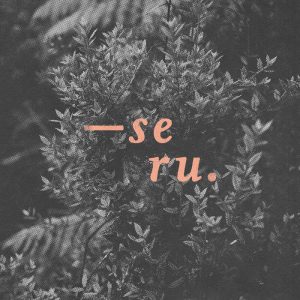 Seru – Sambung Nyawa (Single)